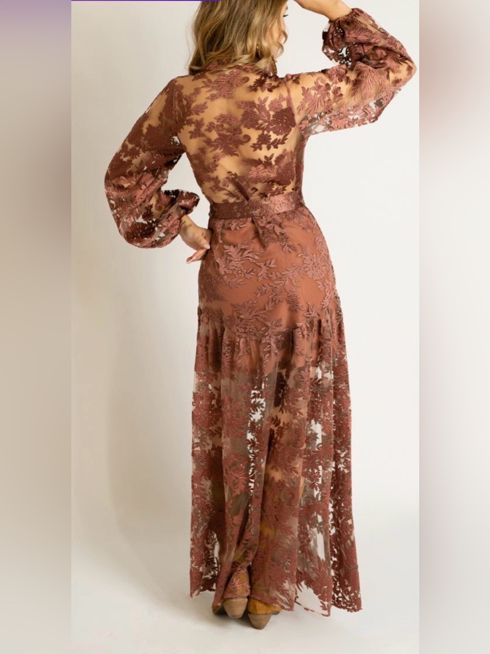 JOYFOLIE Bellana Dress in Rosette | Romantic Embroidered Mesh Maxi Dress | NWT - Picture 3 of 16